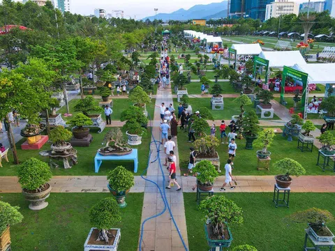 Công văn về việc sắp xếp, sáp nhập hội sinh vật cảnh theo mô hình chính quyền địa phương 2 cấp