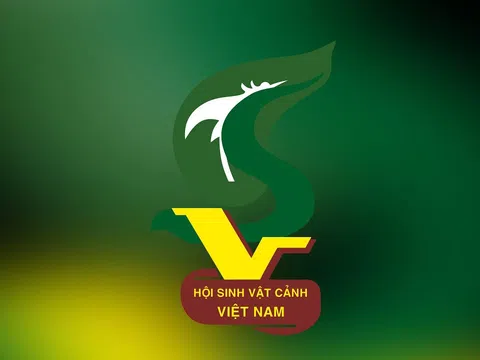 DANH SÁCH CÁC ĐƠN VỊ TRỰC THUỘC VÀ HỘI VIÊN TRỰC TIẾP