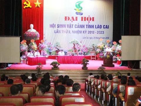 Hợp nhất Hội Sinh vật cảnh Lào Cai và Yên Bái thành Hội Sinh vật cảnh tỉnh Lào Cai