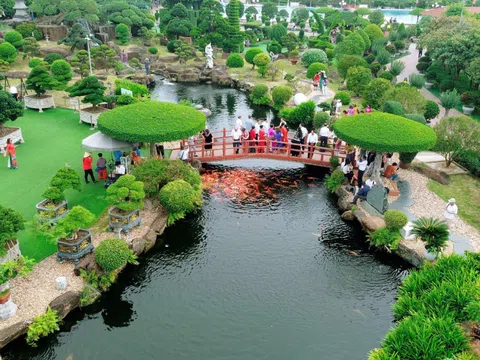 Sinh vật cảnh Việt Nam: Gắn kết thiên nhiên, văn hóa và kinh tế di sản trong kỷ nguyên mới