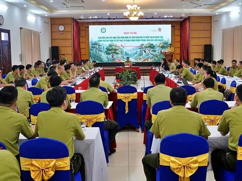 Hướng dẫn thực hiện Nghị định mới về xử phạt vi phạm hành chính trong lĩnh vực lâm nghiệp