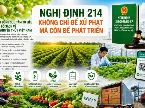 Kỳ 1: Nghị định 214/2026/NĐ-CP - Kỳ vọng siết chặt quản lý nhưng thực thi còn nhiều thách thức