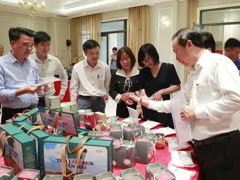 Cây sen và hành trình kiến tạo giá trị trên vùng đất khó