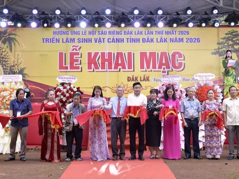 Hơn 1.000 tác phẩm sinh vật cảnh hội tụ chào mừng Lễ hội Sầu riêng Đắk Lắk 2026
