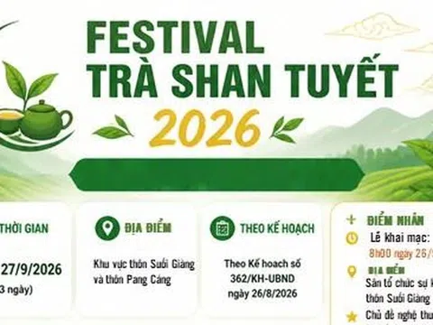 Festival Trà Shan tuyết Lào Cai năm 2026: Quảng bá giá trị chè cổ thụ gắn với văn hóa vùng cao