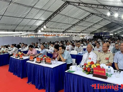 Quảng Ngãi: Hội tụ tinh hoa sinh vật cảnh các vùng miền