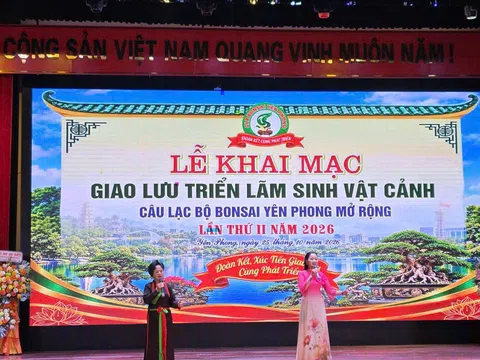 Xâm phạm quyền sở hữu trí tuệ đối với logo Hội Sinh vật cảnh Việt Nam: Nhận diện và giải pháp xử lý