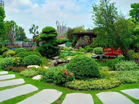 Bí quyết chọn cây cảnh cho sân vườn cuối năm – Vừa đẹp vừa hợp phong thủy