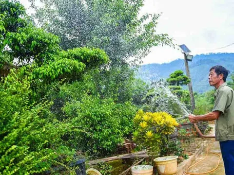 Làng hoa cây cảnh Mỹ Tân – Dấu ấn từ chuyển đổi mô hình nông nghiệp