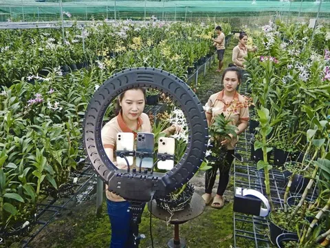 Người phụ nữ Khmer “thổi hồn” dòng lan "quý tộc" thành cơ nghiệp tỷ đồng và tạo sinh kế cho địa phương