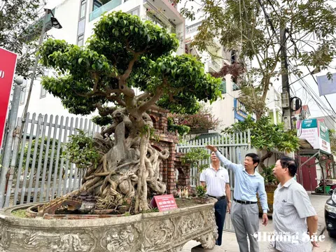 Nghệ nhân Vũ Tấn Phúc: Người gửi hồn vào cây với hơn 18 năm tâm huyết tạo tác