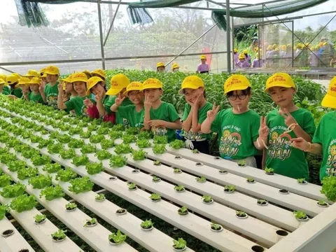 Mô hình du lịch trải nghiệm nông nghiệp: Làng Túy Loan hút khách quanh năm