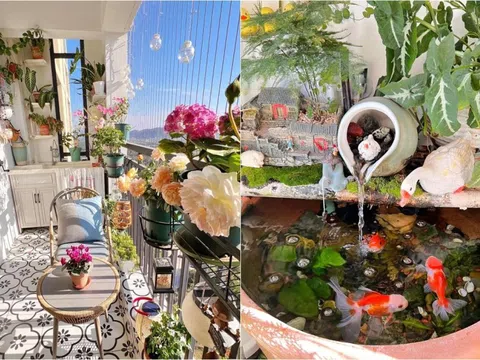 Biến ban công 4m² thành khu vườn mini như resort: Bí quyết sắp xếp và chọn cây thông minh