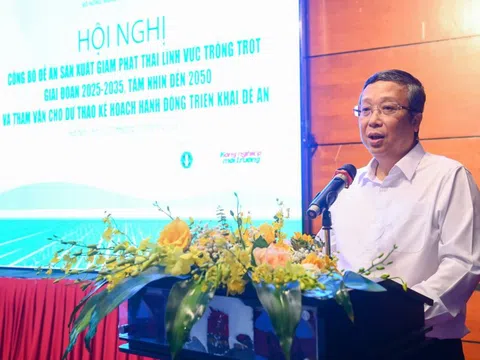 Tín chỉ carbon từ ruộng đồng – cơ hội mới cho nông nghiệp Việt Nam chinh phục thị trường quốc tế