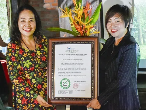 Hành trình xanh của Suối Rao Ecolodge: Từ nhà vườn sinh vật cảnh đến khu du lịch Net Zero tiên phong