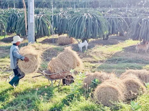 Tin khuyến nông: Kỹ thuật xanh, nông nghiệp sạch – Bước chuyển mình của nông thôn Việt Nam