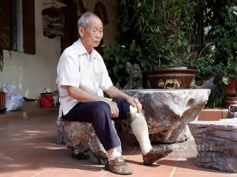 Khi cựu chiến binh biến ký ức chiến trường thành nghệ thuật cây cảnh, non bộ