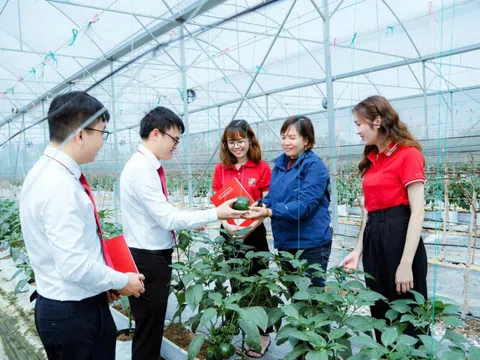 Triển khai Thông tư 60/2025/TT-BNNMT: Kiện toàn hệ thống khuyến nông gắn với chính quyền cơ sở