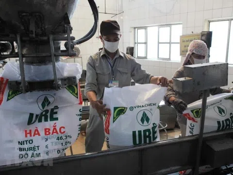 Đạm Hà Bắc bao giờ sạch lỗ lũy kế?