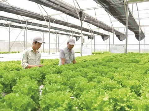 Hà Nội công bố nhiều thủ tục hành chính nội bộ lĩnh vực nông nghiệp và môi trường