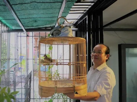 Tiến sĩ, bác sĩ Võ Văn Nhân chia sẻ kinh nghiệm chăm sóc chào mào căng lửa