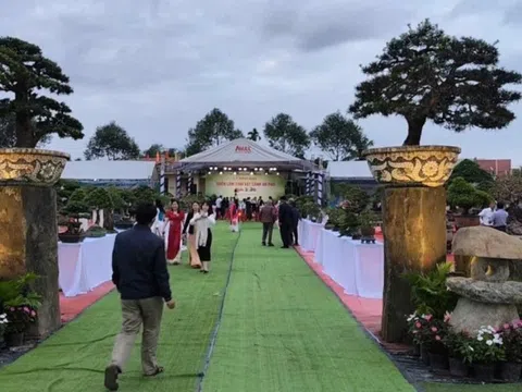 Ngắm các tác phẩm đá cảnh trong Triển lãm Sinh vật cảnh An Phú – Xuân 2026