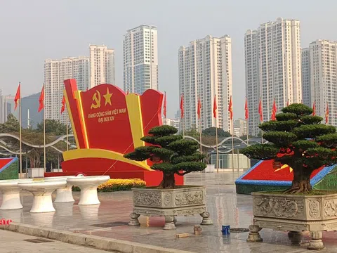 Hội Sinh vật cảnh Việt Nam triển khai trưng bày cây cảnh phục vụ Đại hội Thi đua yêu nước và Đại hội XIV của Đảng