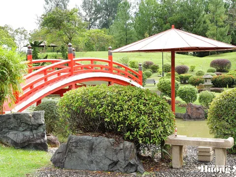 Từ bài học Singapore, đề xuất tạo lập Vườn quốc tế tại Việt Nam