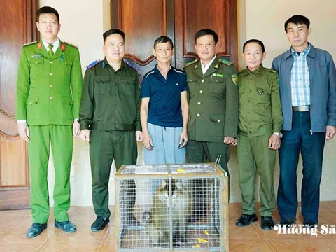 Hà Tĩnh: Người dân bắt được động vật quý hiếm, kịp thời bàn giao cho cơ quan chức năng
