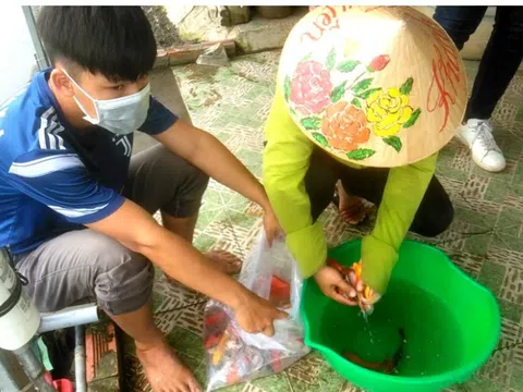 TP HCM: Ao cá chờ Tết, người nuôi chờ… thương lái