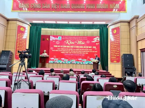 Khai mạc trưng bày cây cảnh nghệ thuật xã Ninh Giang lần thứ nhất năm 2026