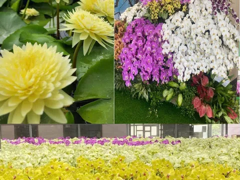 Tiếp tục hiện thực hóa Nghị quyết 19-NQ/TW: Chiến lược phát triển nông nghiệp, nông dân, nông thôn đến năm 2030, tầm nhìn 2045