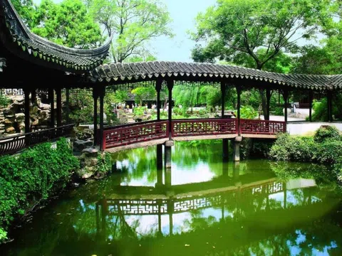 Thú chơi cá cảnh: Hành trình từ biểu tượng xa xỉ đến thú vui bình dân