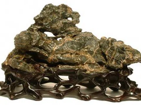 Tìm hiểu về nguồn gốc chơi đá cảnh