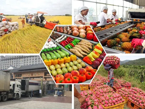 Hỗ trợ nông dân xây dựng thương hiệu, nhãn hiệu hàng hóa nông sản