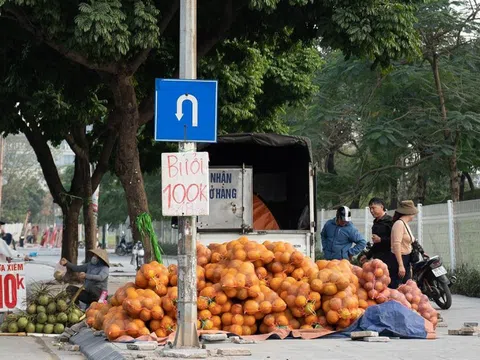 Bưởi Diễn trồng quanh Hà Nội rớt giá mạnh, bán theo bao trên vỉa hè chỉ vài nghìn đồng mỗi quả