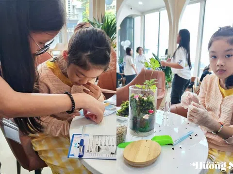 Câu lạc bộ Thủy sinh cảnh Việt Nam phối hợp cùng The Institute of Viécie tổ chức Workshop Terrarium mang tên CHẠM
