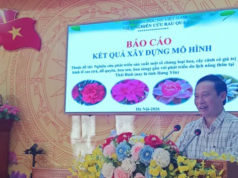 Đánh giá kết quả mô hình nhân giống và sản xuất hoa, cây cảnh tại HTX Hoa sen Vân Đài