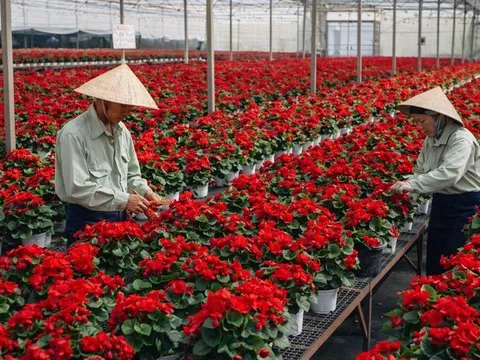 Lâm Đồng đẩy mạnh phát triển nguồn giống cây trồng, vật nuôi chất lượng cao