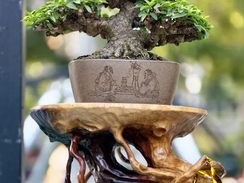 Vinh danh nghệ nhân Bonsai tại Hội Hoa Xuân TP.HCM - 2026