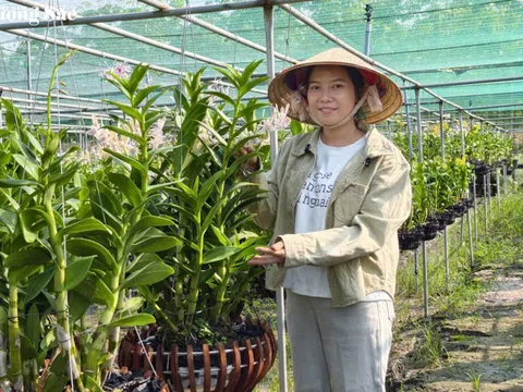 Thạch Thị Kim Hoa: Một đóa lan giữa đất Long Hòa