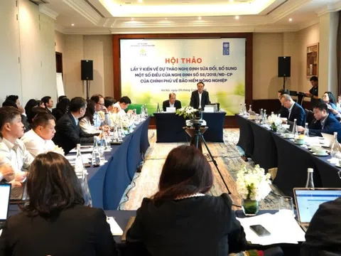 Sửa đổi Nghị định 58: Tháo gỡ nút thắt để bảo hiểm nông nghiệp phát triển bền vững