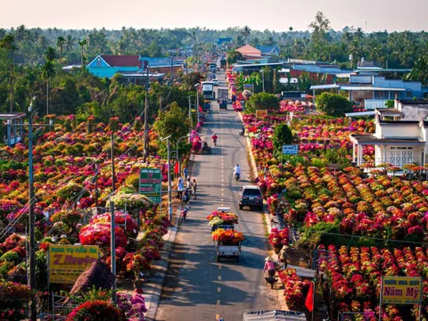 Hội Sinh vật cảnh Việt Nam gia nhập Hiệp hội Quốc tế các Nhà sản xuất Hoa và Cây cảnh (AIPH)