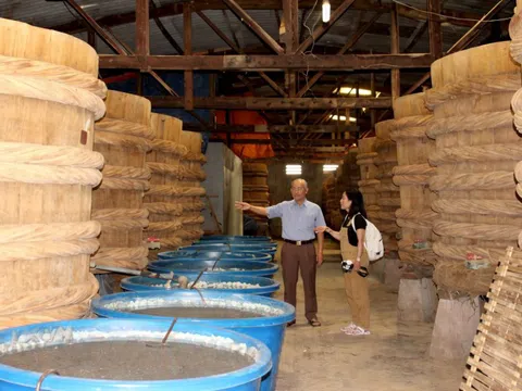 Giữ hồn làng nghề nước mắm Phan Thiết 300 năm tuổi