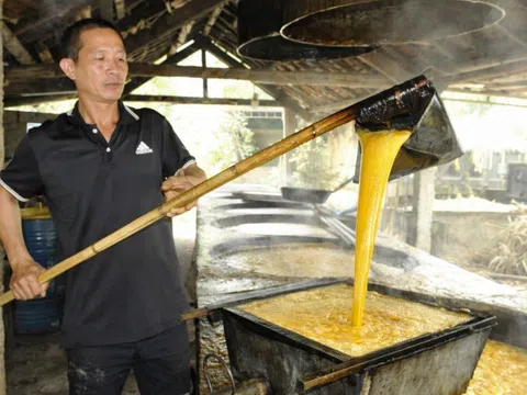 Làng mật mía Nghĩa Hành sản xuất 300.000 lít mỗi năm, nhiều hộ thu hàng trăm triệu đồng