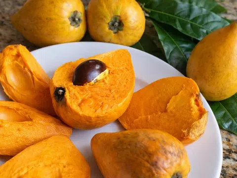 Ít ai ngờ quả vàng trong vườn quê Việt lại chứa nhiều dưỡng chất đến vậy