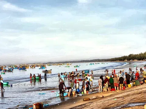 Làng chài Bình Thạnh – nơi bình minh lên cùng những ghe cá đầy khoang