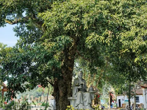 Cây vải gần 300 năm tuổi ở chùa Tượng Sơn – chứng tích sinh thái gắn với cuộc đời của Hải Thượng Lãn Ông