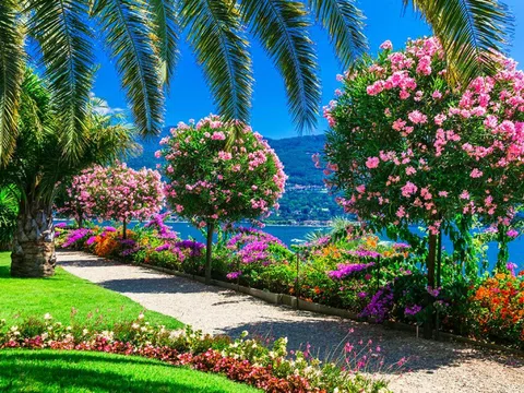 AIPH - tổ chức định hình ngành hoa và cây cảnh toàn cầu