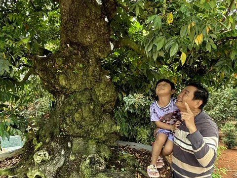 Quả ngọt 20 năm đam mê, nhiệt huyết với sinh vật cảnh